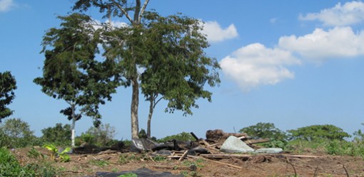 The remains of forced eviction on the El Tamarindo land