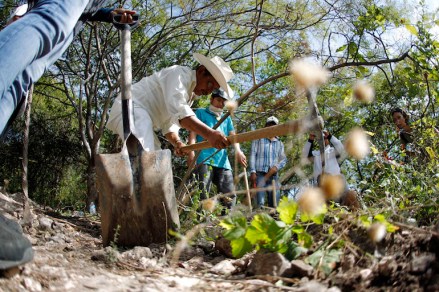 People with missing relatives dig in an area under investigation by a forensics team, near mass graves discovered in October, in La Joya on the outskirts of Iguala, Guerrero state