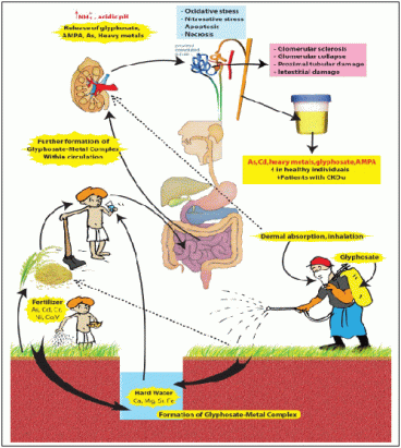 s_500_opednews_com_0_1-11-gif_80489_20140228-721